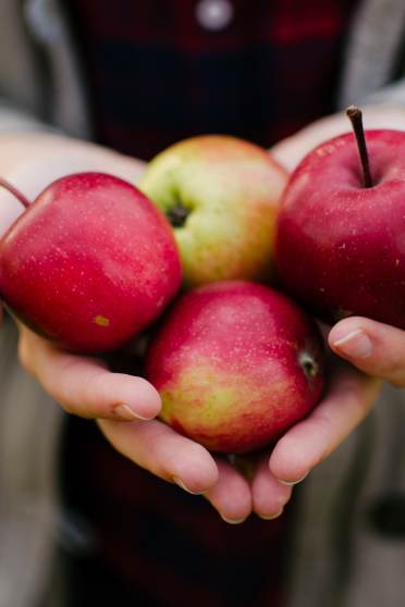 Apples as a superfood for gut health