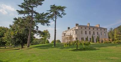 Manor house on green hill with pine trees