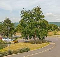 View over grounds to hills beyond