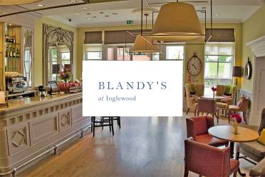blandys-logo-on-background