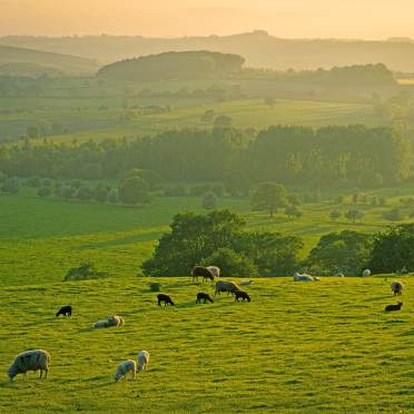 Yorkshire dales in summer